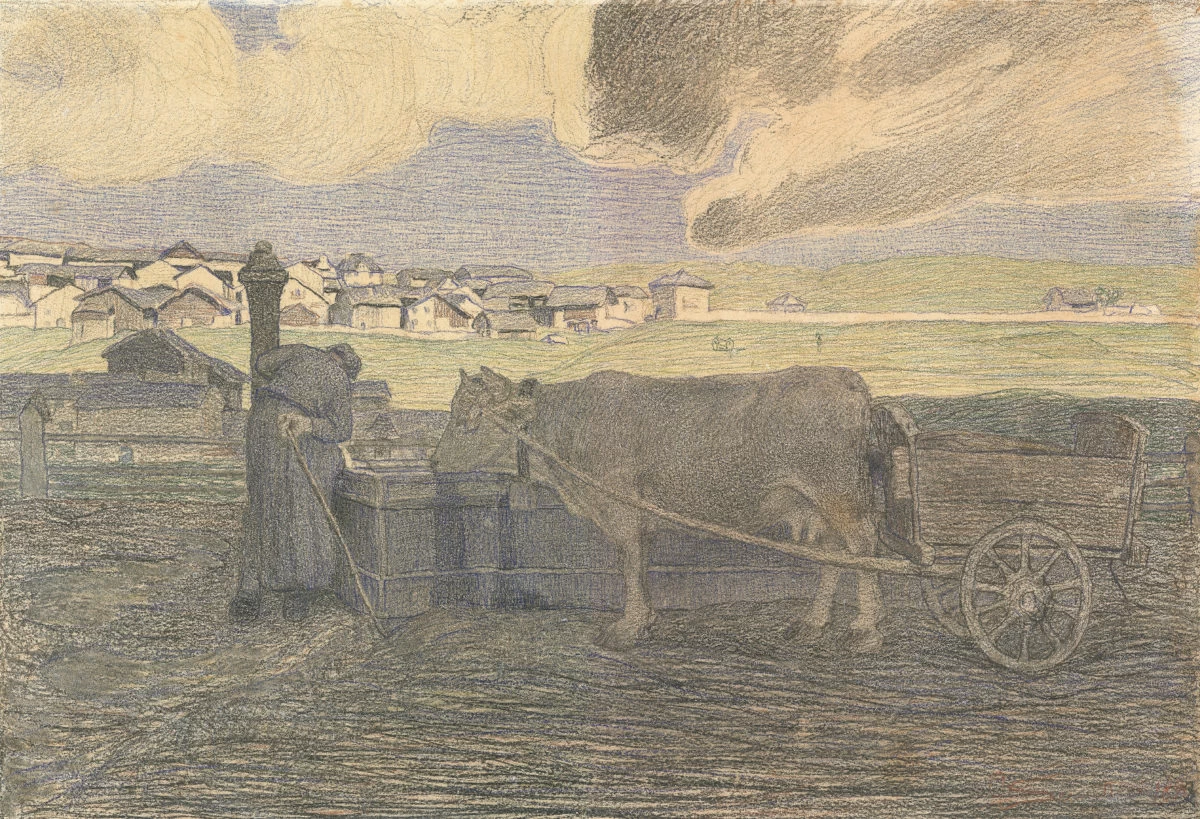 Vacca bianca all'abbeveratoio